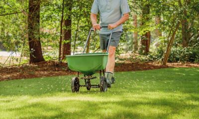 Repair Damaged Areas or Fill in Bare Spots of the Lawn!