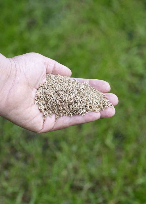 Lawn Seeding Service