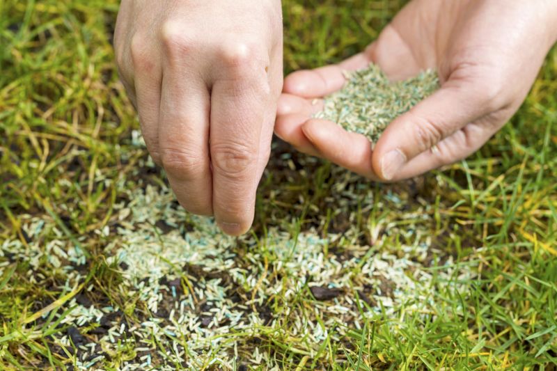 Lawn Seeding Service