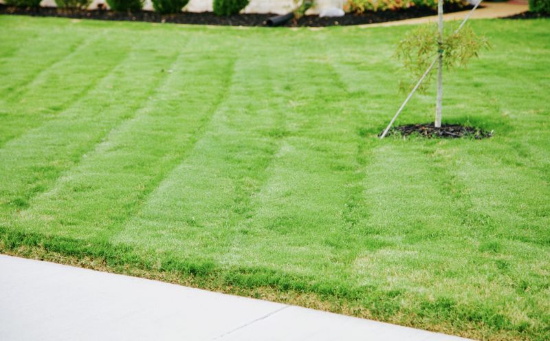 Bentgrass Sod Installation in Honolulu, HI