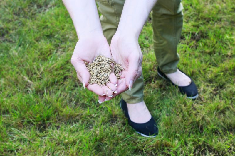 Lawn Seeding Service Cost — Cost of Lawn Seeding Service