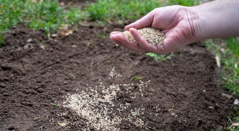 Lawn Seeding Service Cost — Cost of Lawn Seeding Service