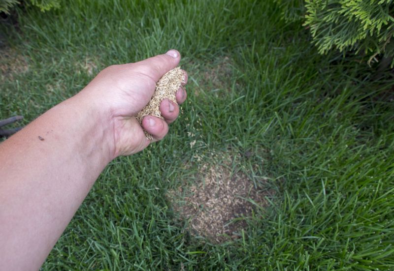 Lawn Seeding Service Cost — Cost of Lawn Seeding Service