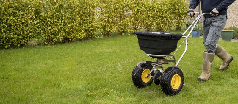 Lawn Seeding Service Cost — Cost of Lawn Seeding Service